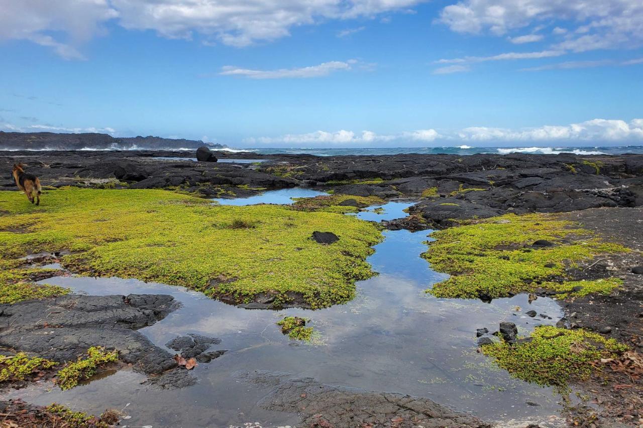 The Aloha Green House Retreat With Ocean Views! Naalehu 外观 照片